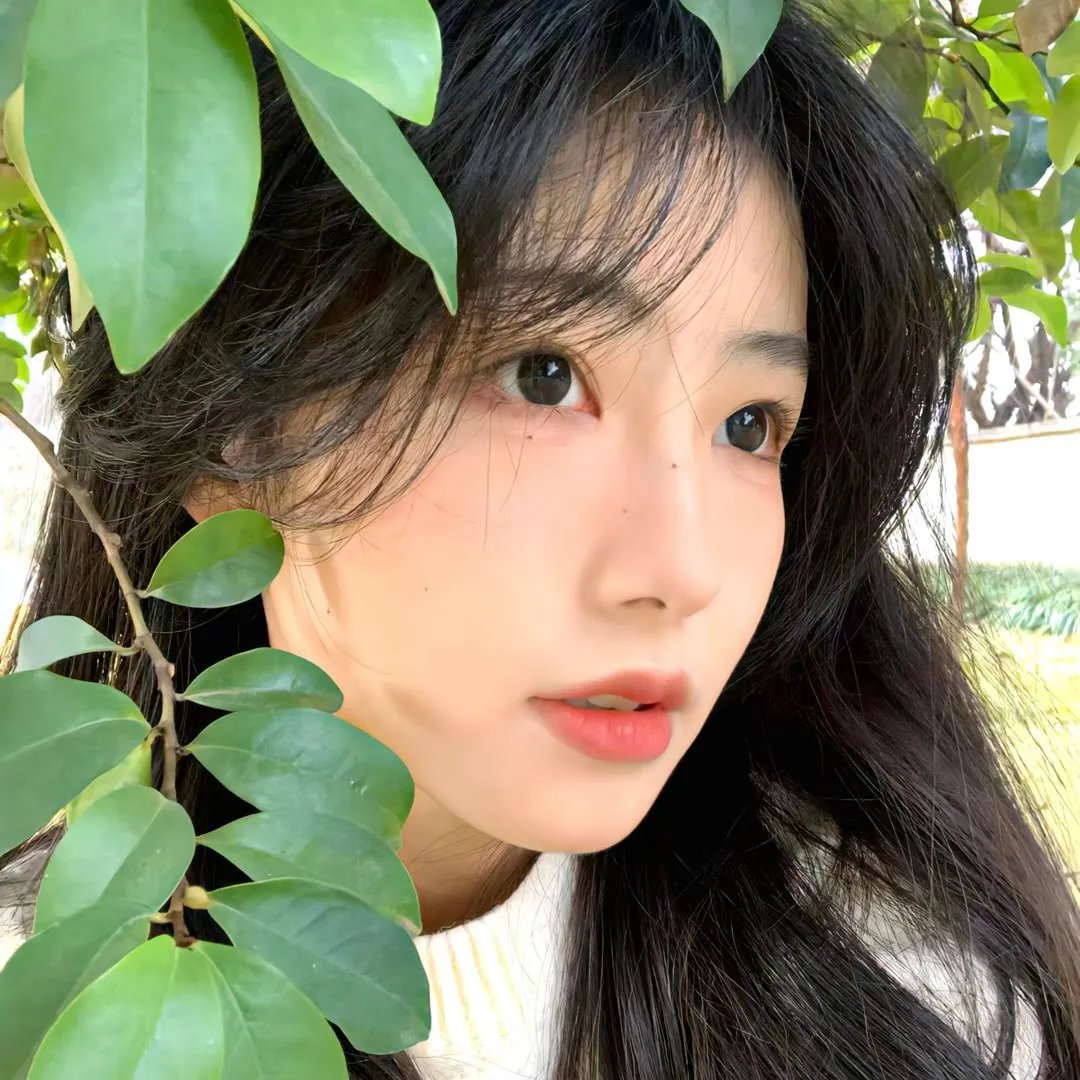 狼的嘴